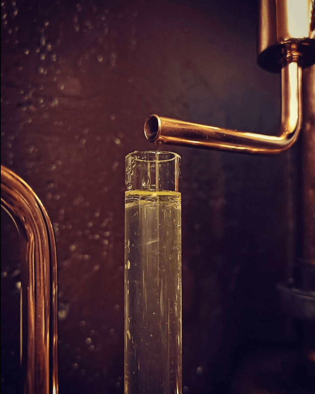 Distillation Dyane