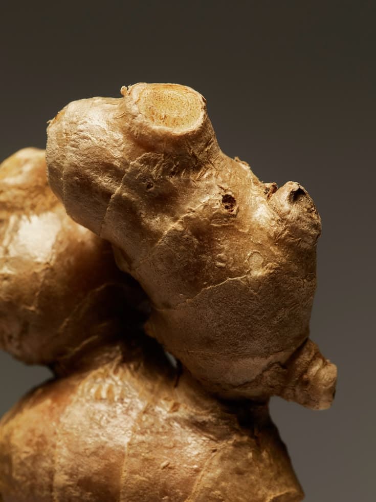 Editorial view 2 — Moscow Mule — The Brightness of Ginger