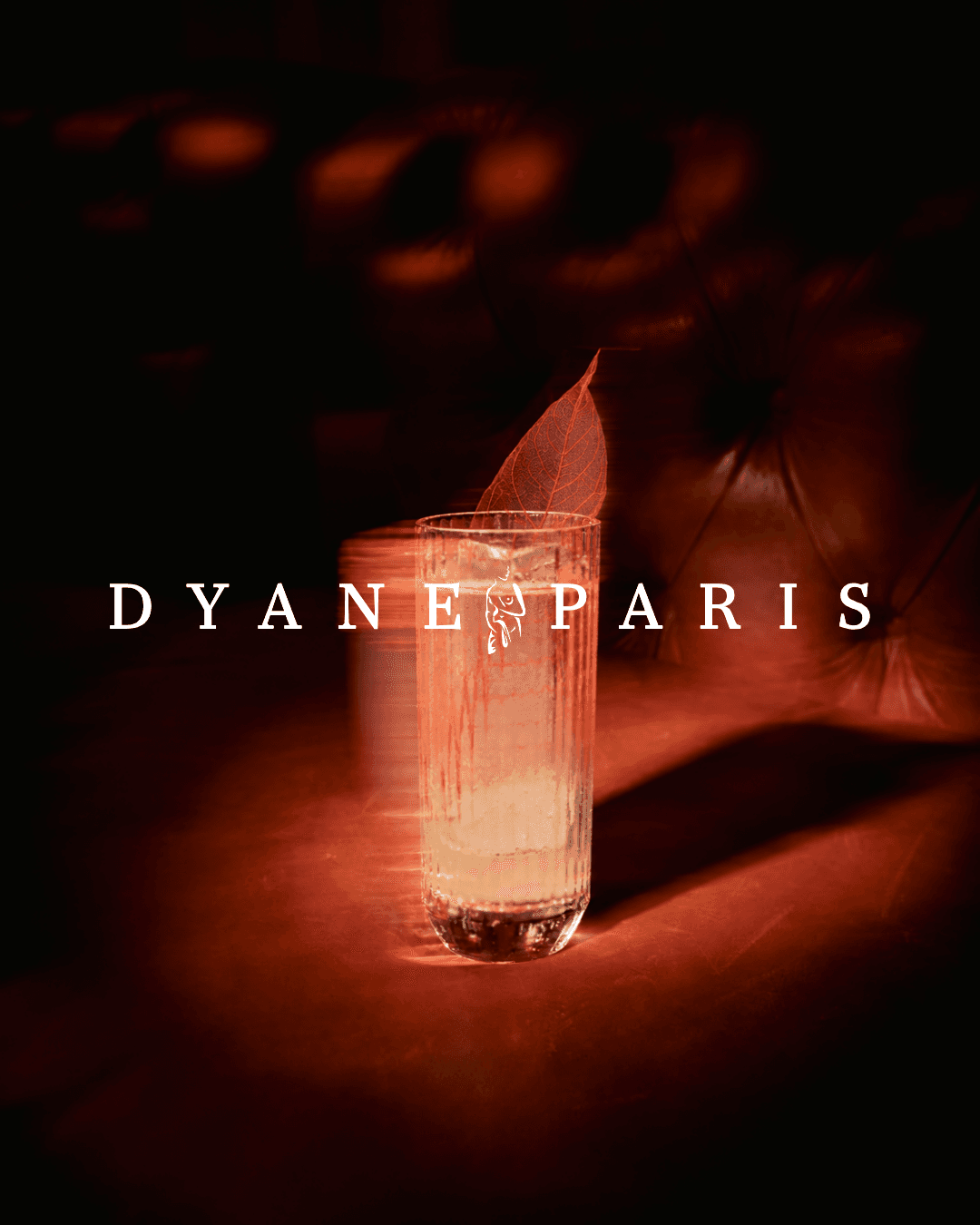 Dyane Paris signature cocktail in a red-toned setting